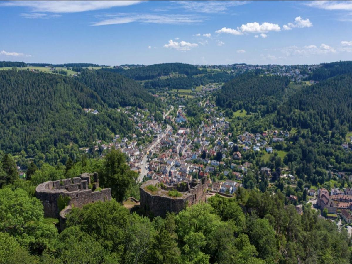 Haus Schiltach Διαμέρισμα Schramberg Εξωτερικό φωτογραφία
